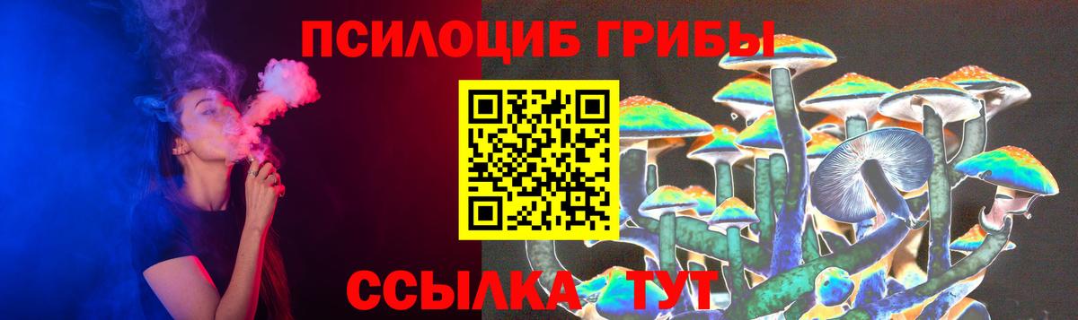Галлюциногенные грибы GOLDEN TEACHER  Вход с VPN  Нововоронеж 