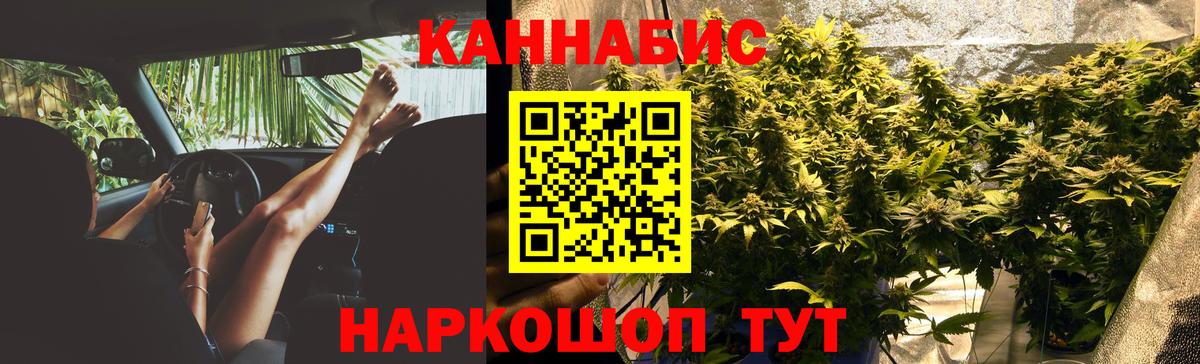 Конопля планчик  Вход с VPN  МАРИХУАНА план  Шишки марихуана White Widow  Нововоронеж 